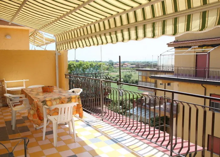 Calliope E Silvia, *